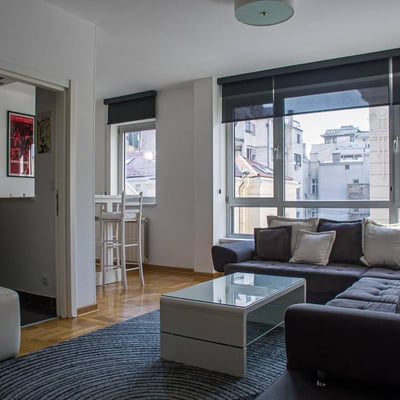 Rental of a 2-room apartment near the Temple of Saint Sava, 56 m², Vračar, Belgrade, Serbia